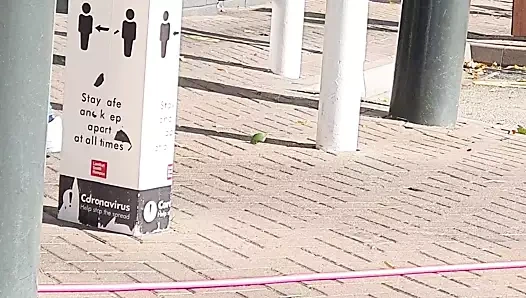 Adım anne açık kahrolası adım oğul içinde the araba park