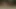 Texas hotwife oral seks