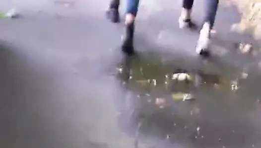 Des cus, encore des culs...