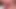 Islak kedi, am damlayan.