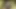 Hucow orta yaşlı seksi kadın memelerini sağıyor kamera 4