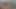 Endonezya zambak web kamerası eğlence