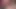 Asyalı Sürtükler Yarak Emiyor Ve Sert BDSM Oyuncak Oyununa Katlıyor