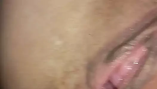 Güzel kedi ...chikky