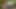 VIP4k. kredi ile seks yaparak gerekli para kazanılabilir