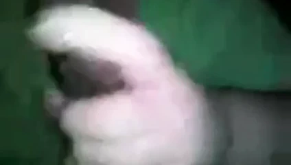 Va bbc sürtük itibaren pof