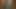Ayakkabı arkadaşı için haraç isteyin