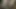 Genç Nici'nin özel xxx videosu