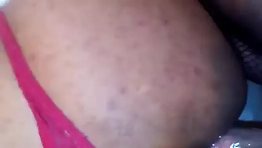 Mima transica