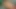 Sürtük orta yaşlı seksi kadın amını parmaklarken büyük yarağı emdiriyor