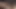 Osha - büyük ganimet busty Chicago Belizian tranny karşılıklı vuruş