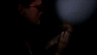 Michelle ve arkadaş 1