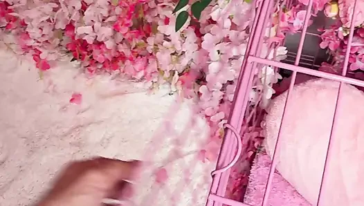 İtaatkar tatlı poppy ve lana memnun etmeyi ve işemeyi seviyor - dikey