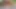 Romantik oral seks ve ormanda seks ile bronzlaşmış busty milf