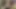 Lexi Summers savaş halkasında sikiliyor (4k)