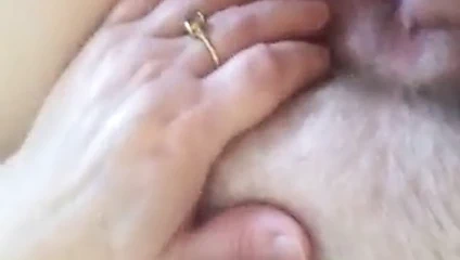 şaplak köpüklü kedi