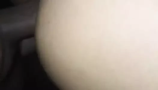 Leticia de a perrito