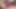 Seksi kız videoları geri döndürüyor