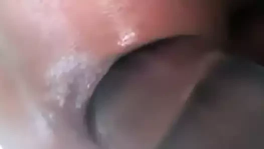 ağzı açık KEDİ yutma şarap şişesi