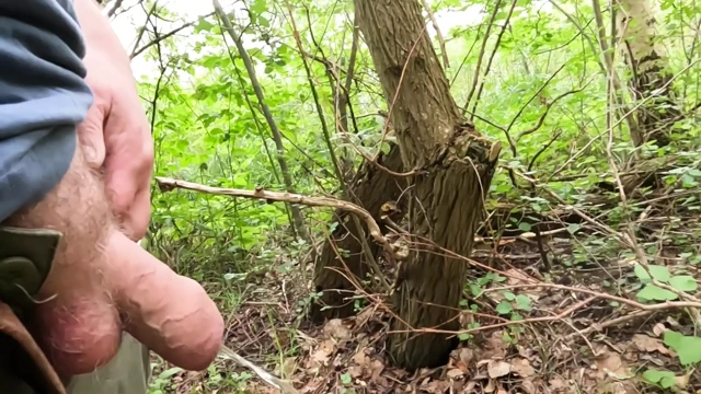 Ormanda işiyorum ve yutan bir domuz çişimi yutuyor