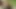 zenci çift kahrolası 5.