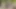 Ateşli karımı götten yağlı götten ve büyük yarağımdan sikiyorum