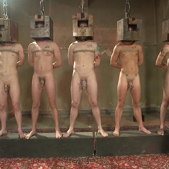 Bağlı tanrılar yıl dönümü canlı gösterisi - köle açık artırması - bölüm bir