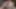 Siyah iç çamaşırı giymiş - lily ve dani daniels oynayacak