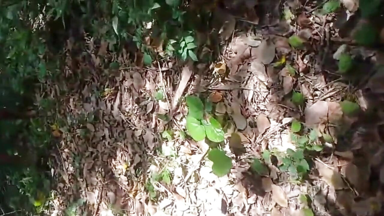 Karısı kocası işteyken bahçeyi temizlemeye gelen biri tarafından sikiliyor
