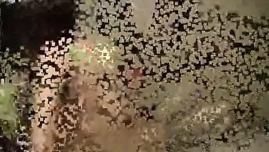 Onun muhteşem salatalığı