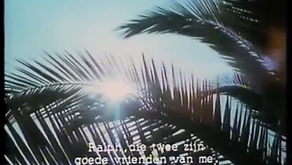 Suendige Leidenschaft (1981)