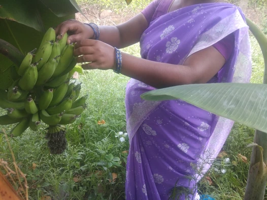 Hintli erkek üvey kız kardeş açık havada seks yapıyor