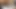 Seksi kadın ve trans arkadaşı iyi vakit geçiriyor