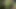 Fuck and Suck BIG Tits Stranger in Woods
