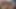 Yaşlı ve Genç BBW'ler Alexxxis Allure ve Lady Lynn Bir Damızlık Sikini Paylaşıyor