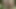 İki seksi latin oğlan eğlence için halk plajında prezervatifsiz sikişiyor