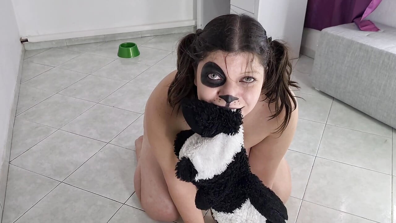 Köpek yavrusu