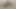 Güzel Kolombiyalı özel seçmelerde