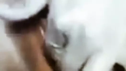 Ateşli Hintli teyze ki mast cudai video Hintçe web kamerası teyze ki mast cudai video Hintçe web kamerası yenge ki mms video Hintçe ateşli