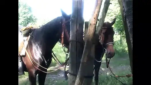 Güzel ateşli anlar