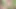 My Desi Village Bhabhi Want's to Do Sex With Me, Full Real Desi Sex Video