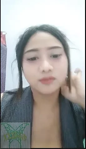 tavşan