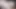 Aussie civciv yüz yüze konuşur