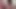 Tabu Japon aile roleplay facesitting ve titjob