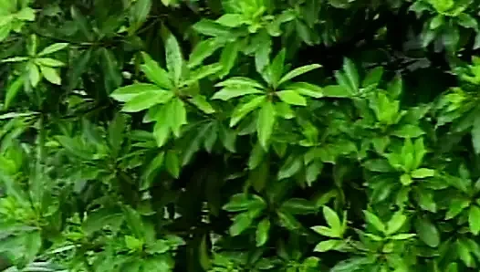 Beyaz külot günlükleri 17: sinnliche pool-abenteuer und