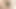 amatör alma bir acımasız yapay penis son derece derin