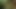 Peepshow döngüleri 106