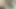 Vahşi Japon tutkusu olgun kiyoe majima vibratörle amını okşuyor