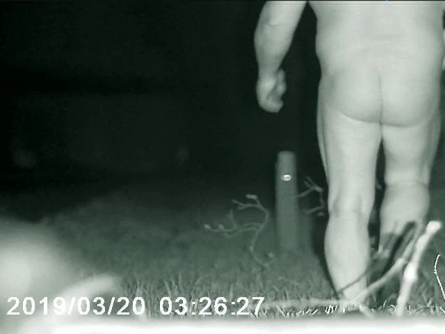 Sergi 1