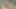 Indian Gf Porn
